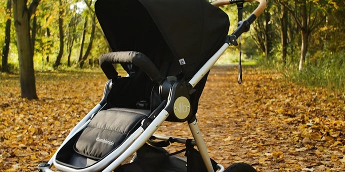 Era Stroller Review - Pushchair Expert