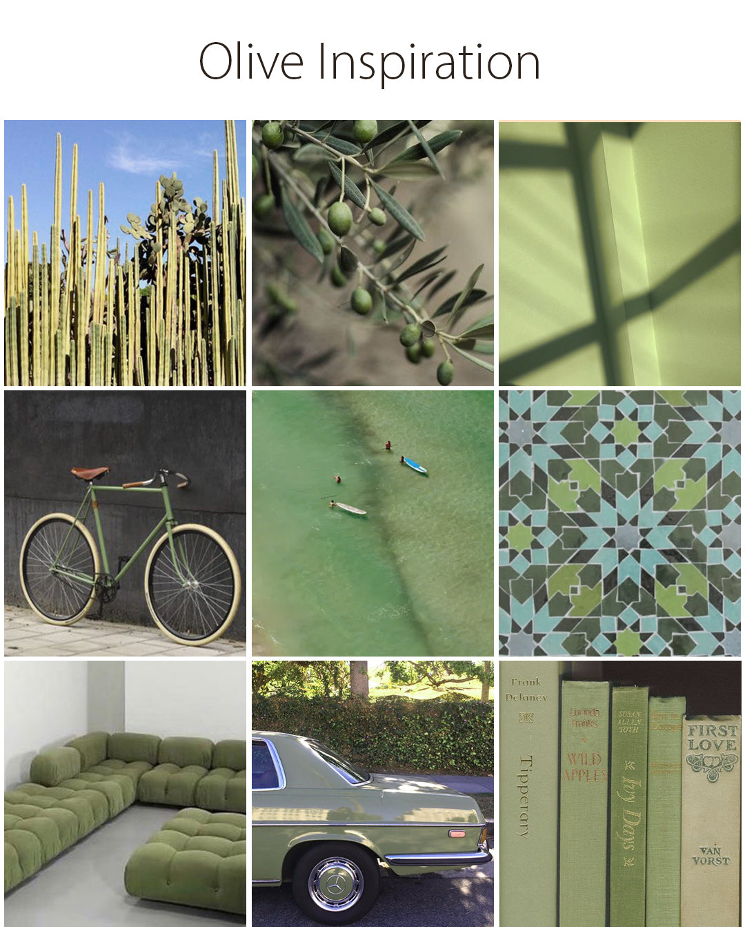 A Color Story: Olive