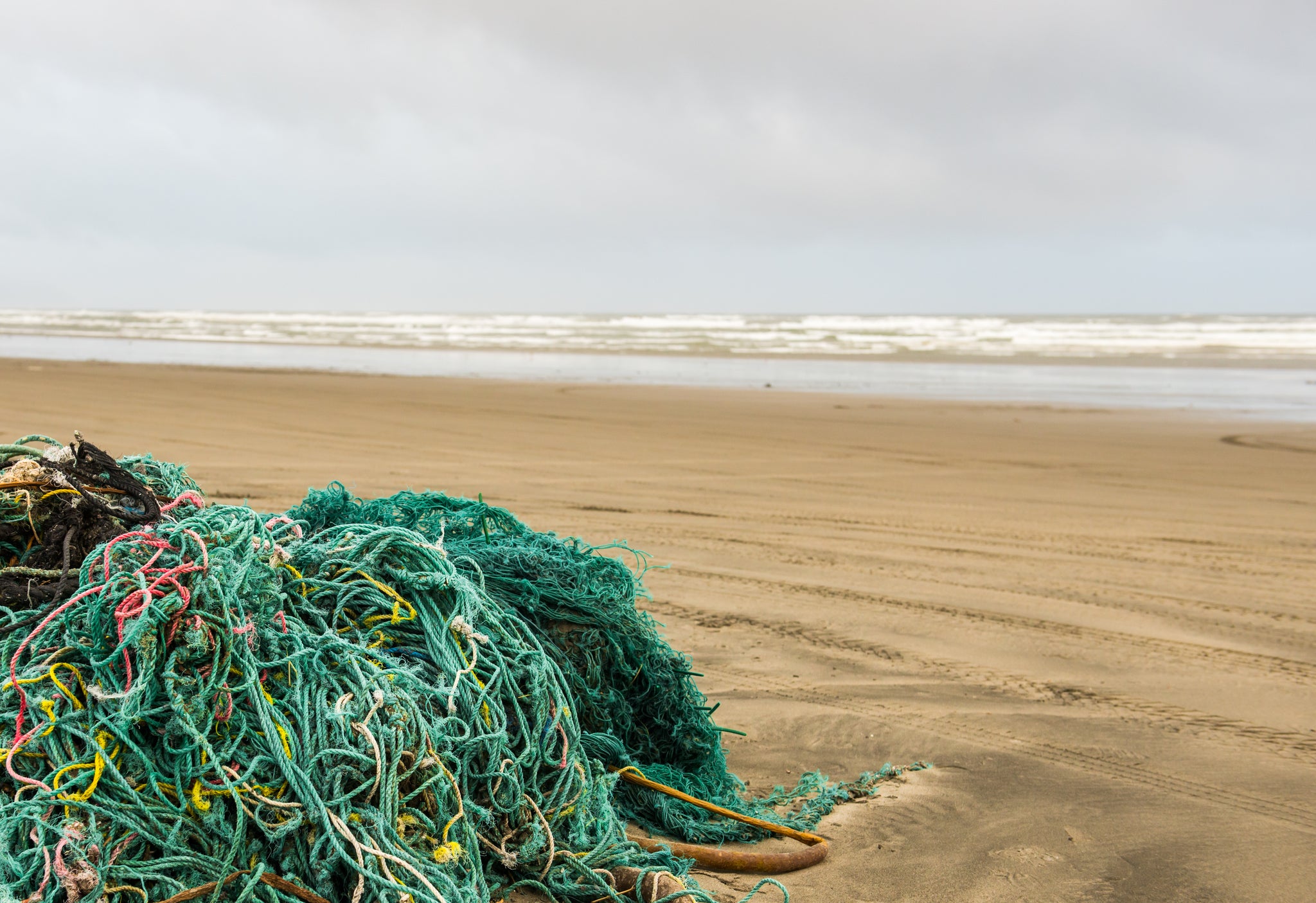 Discarded fishing nets recovered from local waters