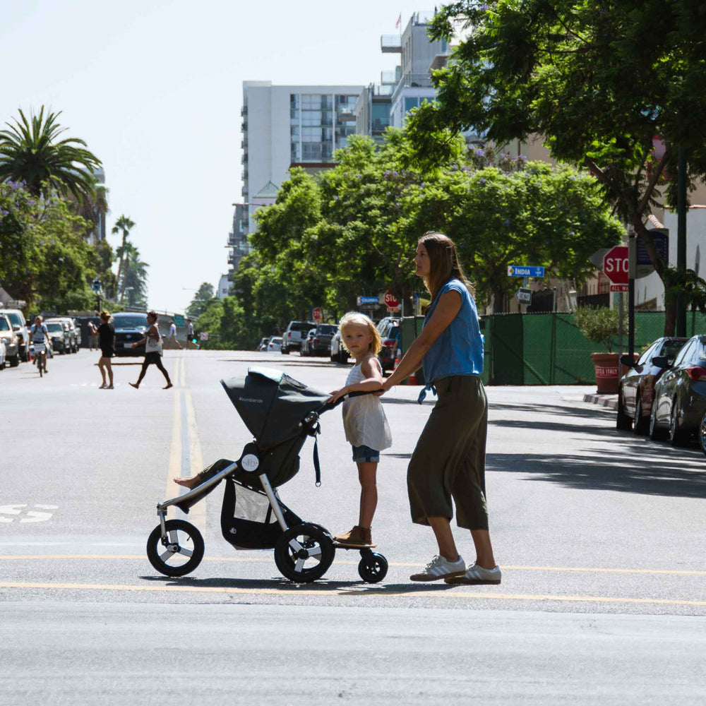 
                      
                        City strolling with Indie and Mini Board
                      
                    